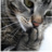 BLO_cathrin_GER