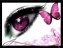 butterfly_lilly